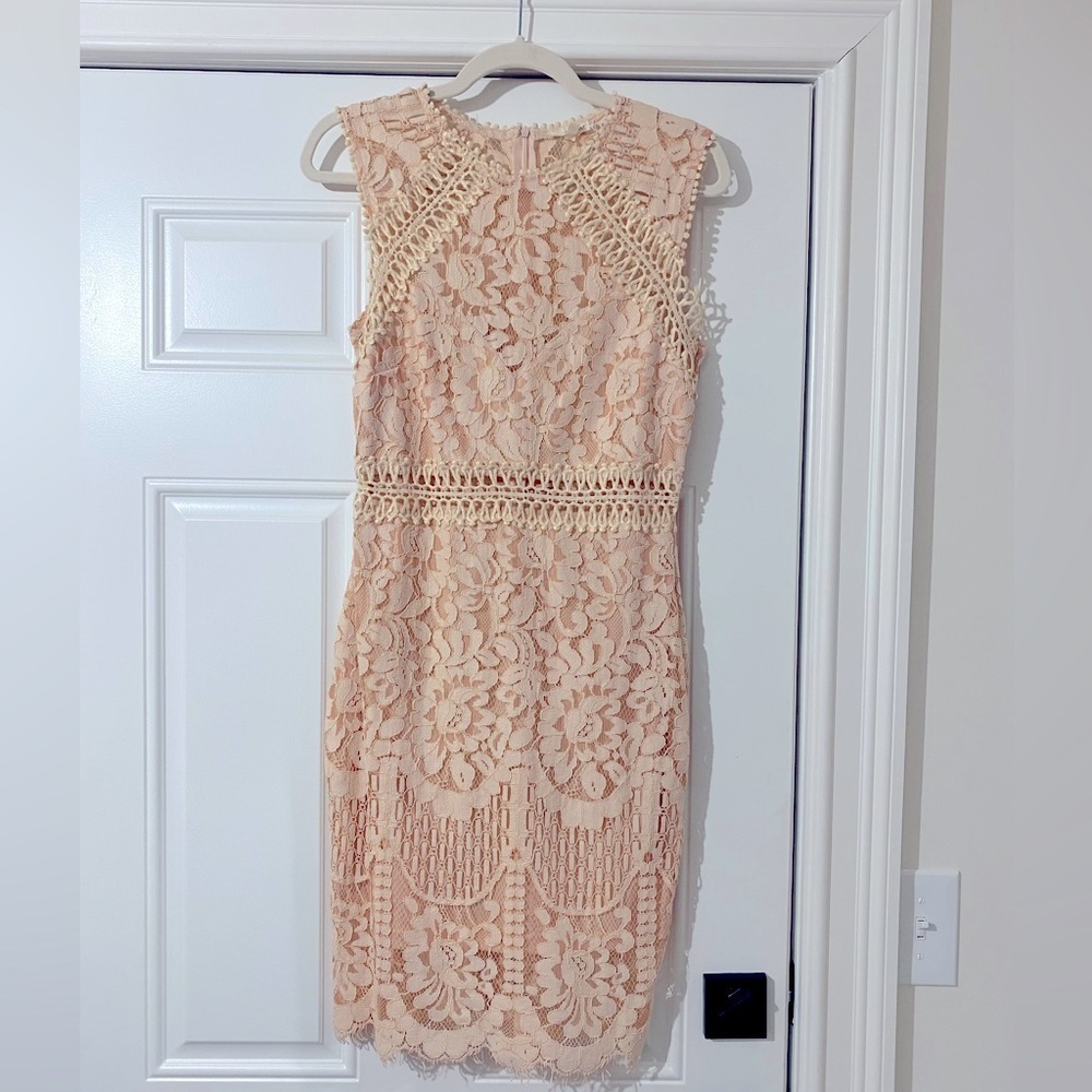 Main Strip Lace Blush Pink Dress